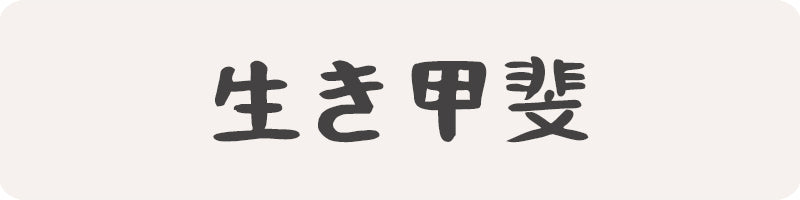 kanji a propos Ikigai shogun japon