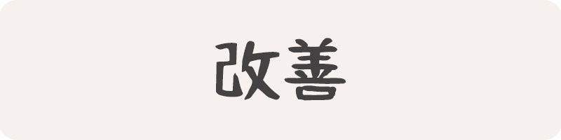 kanji japonais a propos Kaizen Shogun Japon