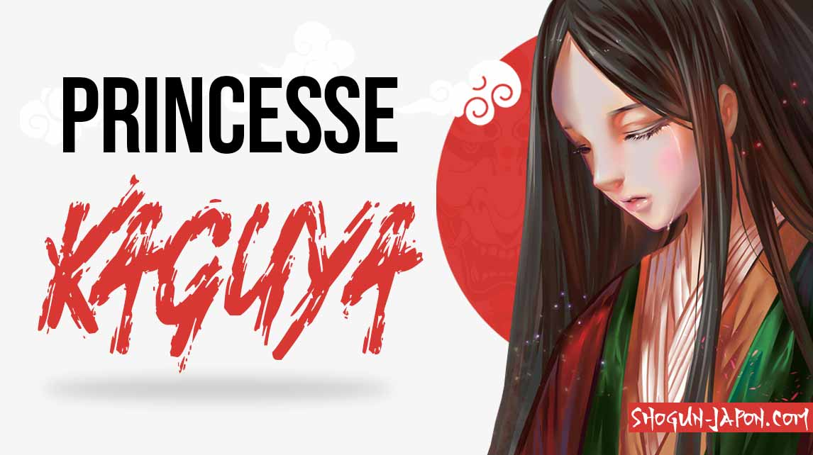 Contes de la princesse promo kaguya