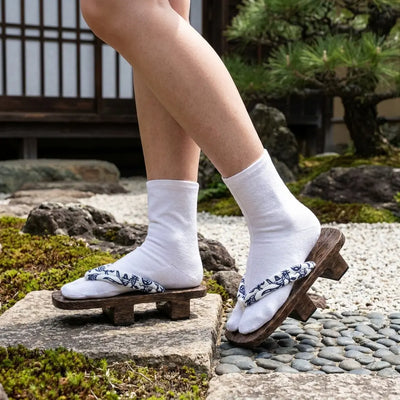 Geta hanao papillon dans un jardin japonais